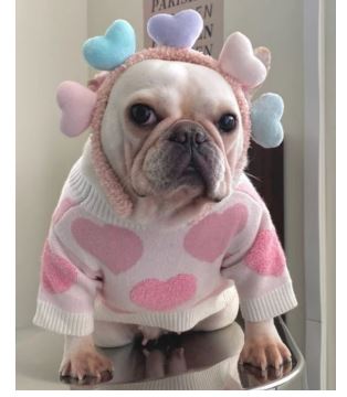 SV30 Suéter de Corazón Rosa, Paw Pets