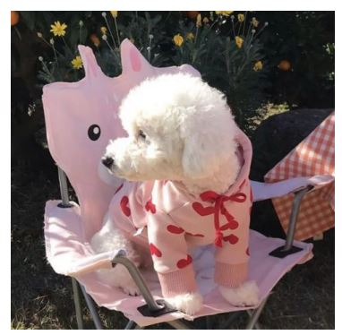 SV34 Sudadera Rosa, Paw Pets