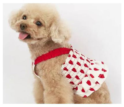 SV41 Vestido de Corazón, Paw Pets