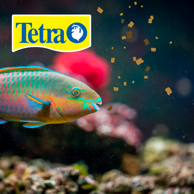 TETRAMIN TROPICAL FLAKES TETRA