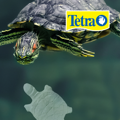 REPTOGUARD FOR REPTILES AND AMPHIBIANS TETRA