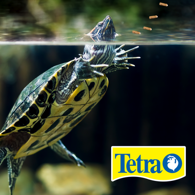 REPTOMIN PLUS FOOD STICKS TETRA