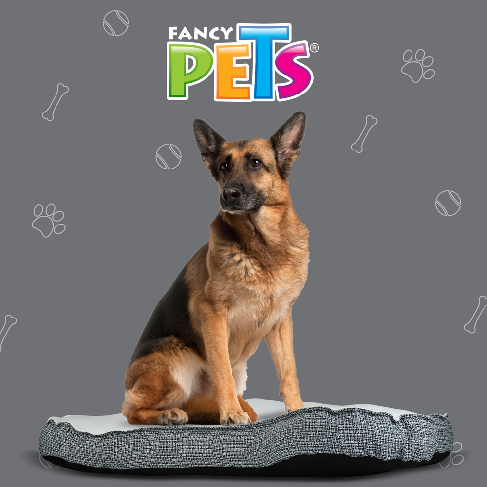 CAMA GDE EN FORMA DE HUESO FANCYPETS