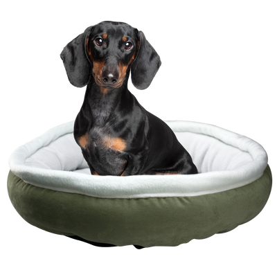 CAMA SURTIDA FANCYPETS