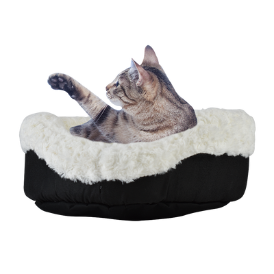 CAMA ANGORA P/GATO FANCYPETS