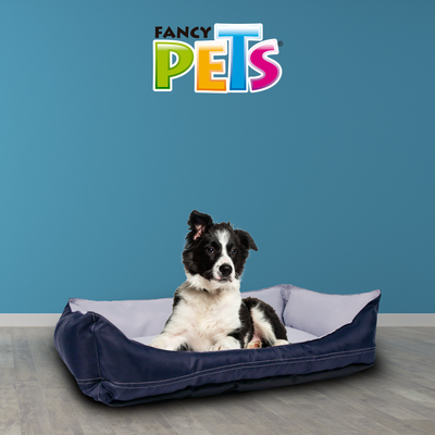 CAMA EXPLORER FANCYPETS