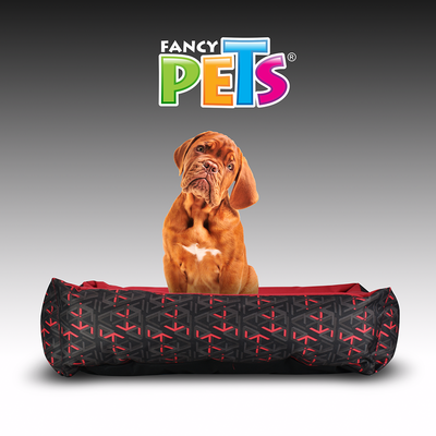 CAMA LUCKY FANCYPETS