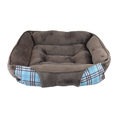 CAMA HALLEY FANCYPETS