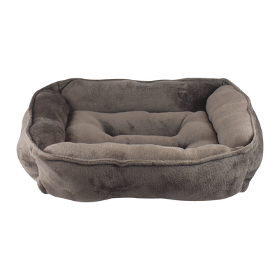 CAMA HALLEY FANCYPETS