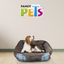 CAMA HALLEY FANCYPETS