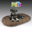 COJIN XGDE COCOA FANCYPETS