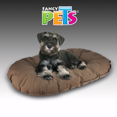 COJIN XGDE COCOA FANCYPETS