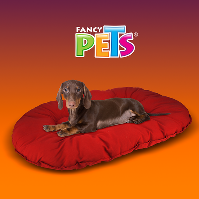 COJIN XGDE VINO FANCYPETS