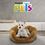 CAMA CAIRO FANCYPETS