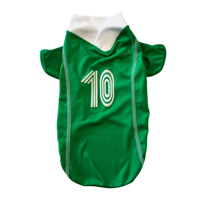 CAMISETA SOCCER MEXICO XCH FANCYPETS