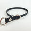 COLLAR BIOTHANE DE CASTIGO - SILVERADO