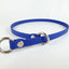 COLLAR BIOTHANE DE CASTIGO - SILVERADO