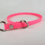 COLLAR BIOTHANE DE CASTIGO - SILVERADO