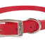 COLLAR BIOTHANE CON HEBILLA (varios colores) - SILVERADO