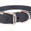 COLLAR BIOTHANE CON HEBILLA (varios colores) - SILVERADO