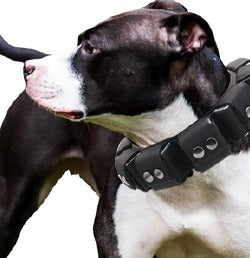 Collar de Peso Harné 5 cm - SILVERADO