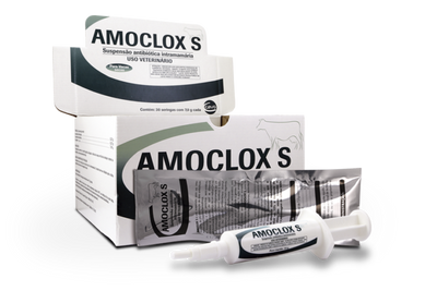Amoclox  S 30 x 10 ML Ceva