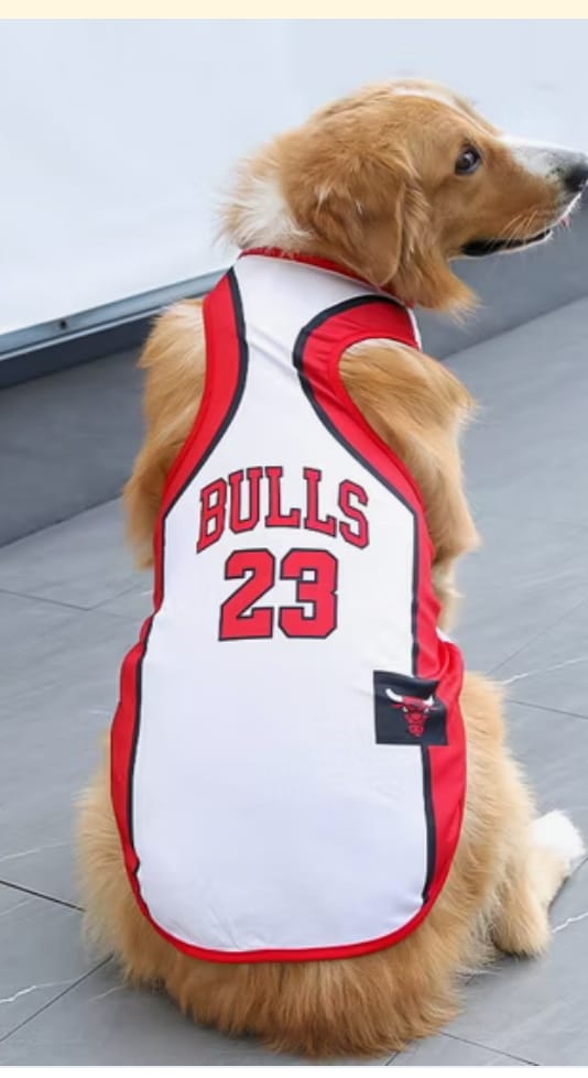 Paw Pets- Playera Bulls