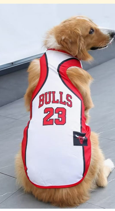 Paw Pets- Playera Bulls