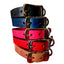 COLLAR DE PIEL GRABADO - SILVERADO