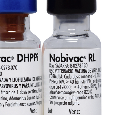 NOBIVAC DHPPI + RL - MSD
