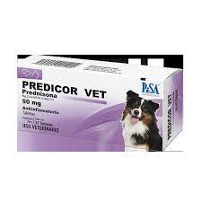 PREDICOR VET TAB PISA