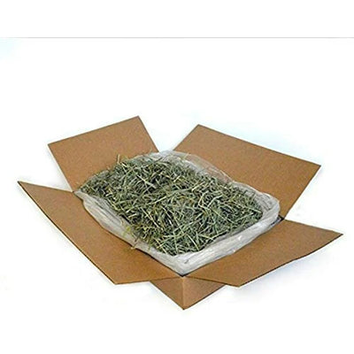 Pasto Timothy Gold American Pet Alto en Fibra 2.27 KG