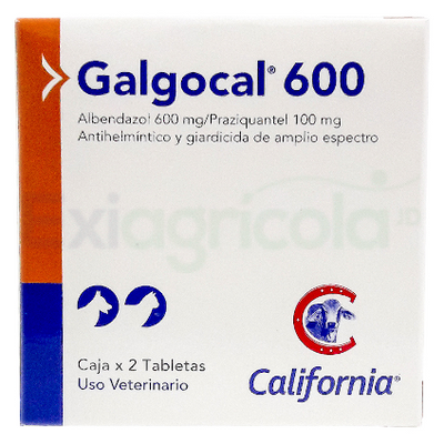 GALGOCAL 600 2 TABLETAS - CALIFORNIA