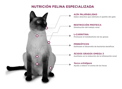 NUPEC FELINO (RENAL CARE)