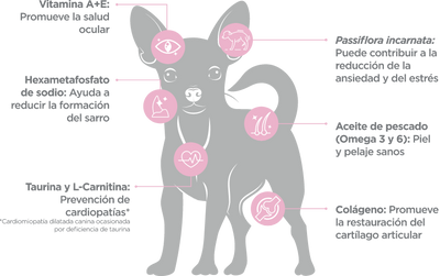 NUPEC SENIOR (RAZAS MINI)