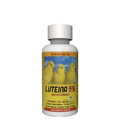 Luteina 20 gr Pigmento Amarillo