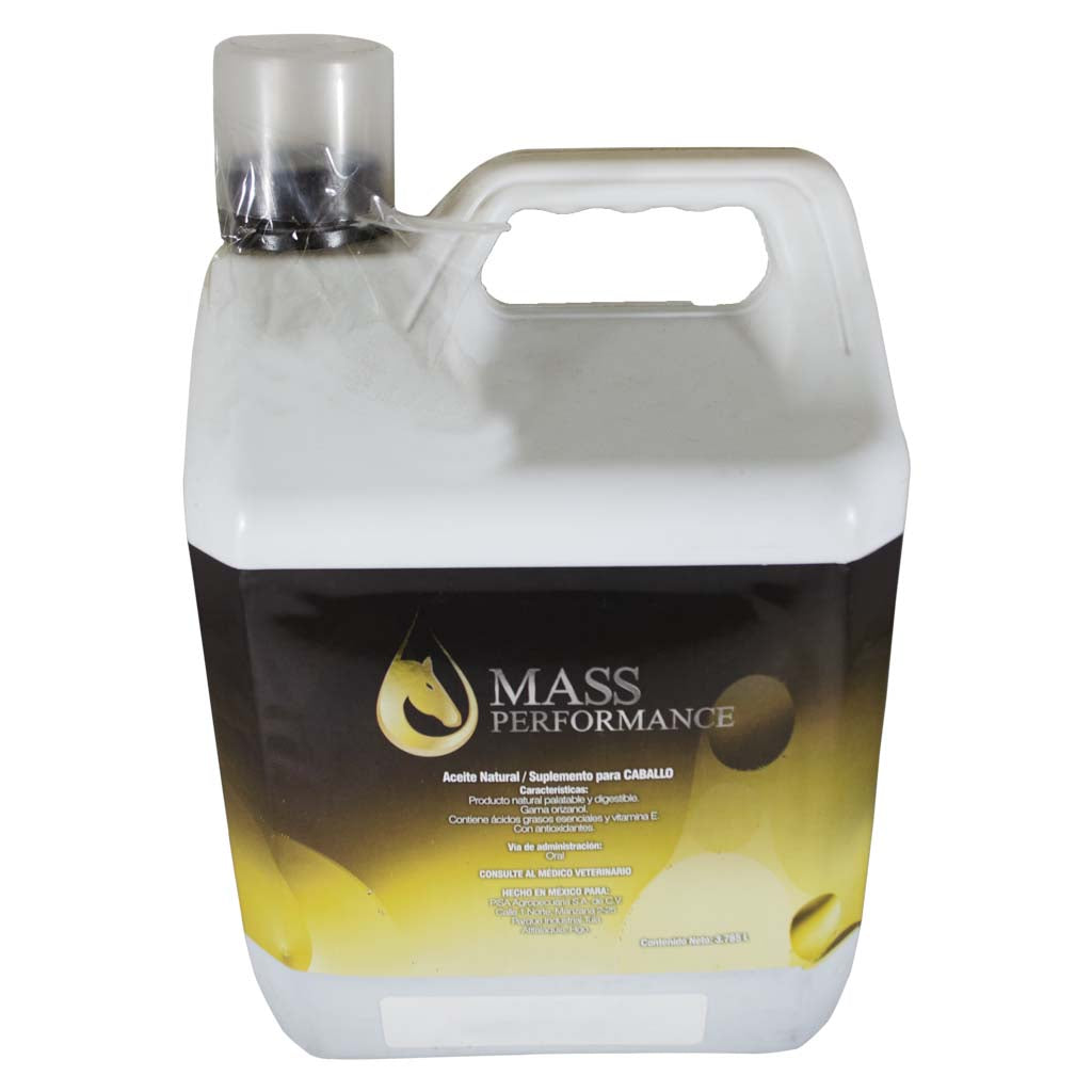 MASS PERFORMANCE - PISA