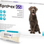 FIPRONEX G5 DROP ON - PET MEDICA
