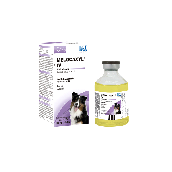MELOCAXYL IV SOLUCION INYECTABLE - PISA