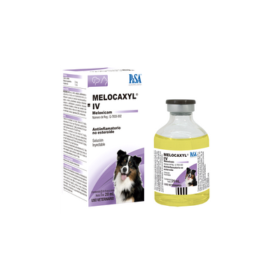 MELOCAXYL IV SOLUCION INYECTABLE - PISA