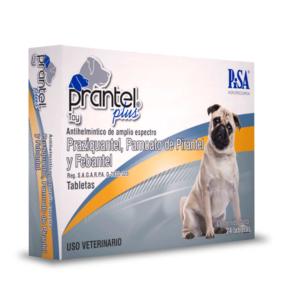 PRANTEL PLUS PISA