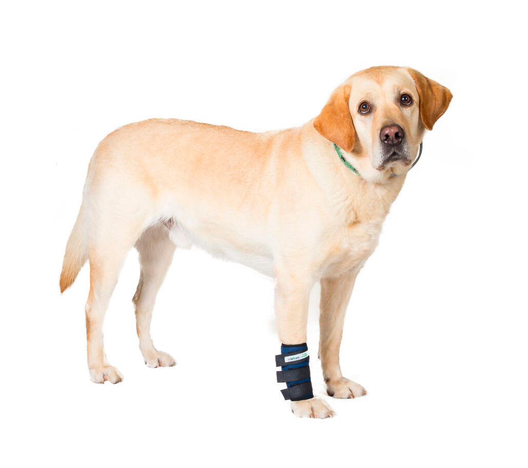 MUÑEQUERA PROTECTOR DE CARPO - ORTOVETS