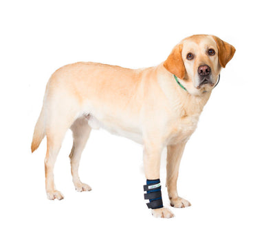 MUÑEQUERA PROTECTOR DE CARPO - ORTOVETS