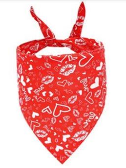 SV20 Bandana Roja, Paw Pets