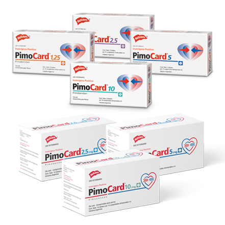 PIMOCARD - HOLLIDAY