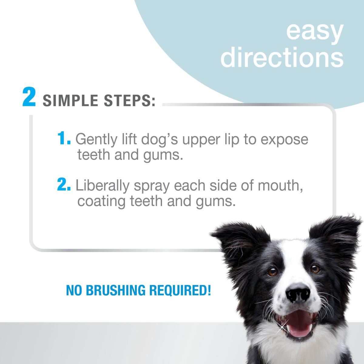 Nylabone Spray Dental Advanced Oral Care