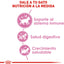 Royal Canin Kitten
