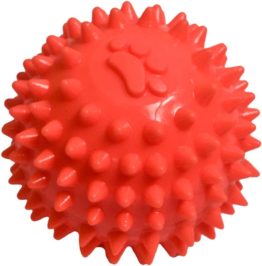 Pelota dura para perro FIAME