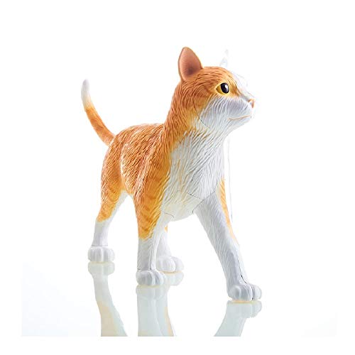 4D modelo gato anatomico