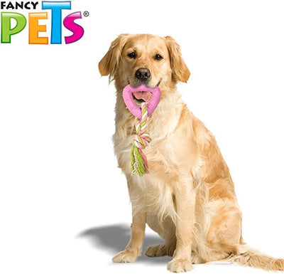 Fancy Pets Mordedera en forma de corazon con cuerda